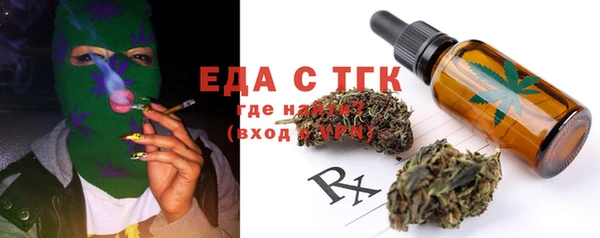 индика Осташков