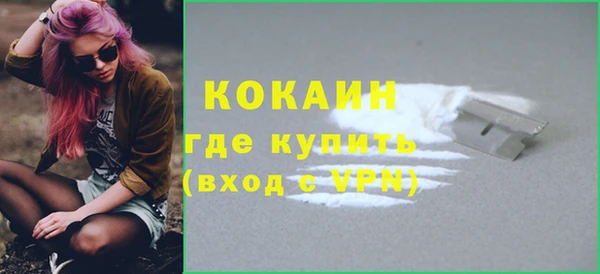 индика Осташков