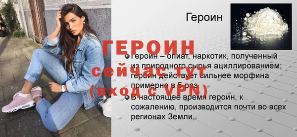 индика Осташков