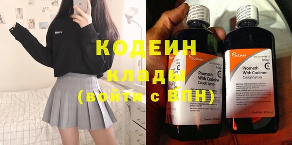 индика Осташков