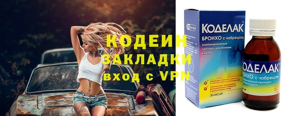 индика Осташков