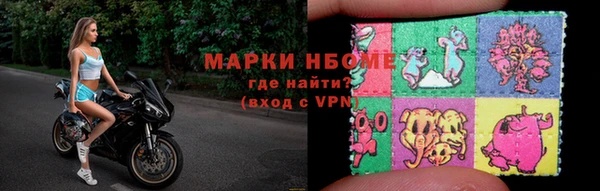 индика Осташков