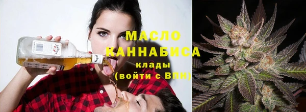 индика Осташков