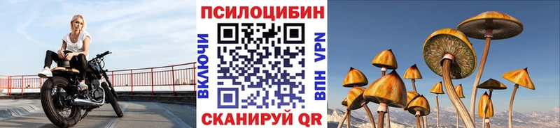 Галлюциногенные грибы MAGIC MUSHROOMS  mega tor  Снежинск  купить наркотик 