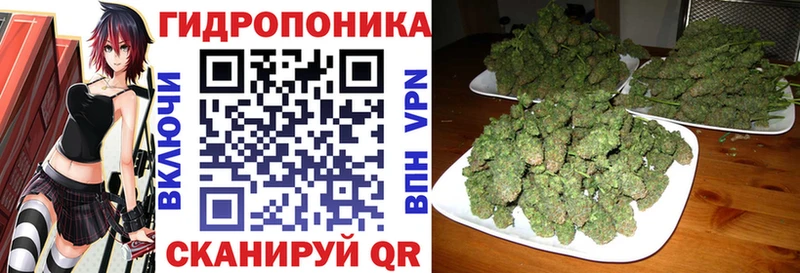 кракен ССЫЛКА  Снежинск  Конопля SATIVA & INDICA 